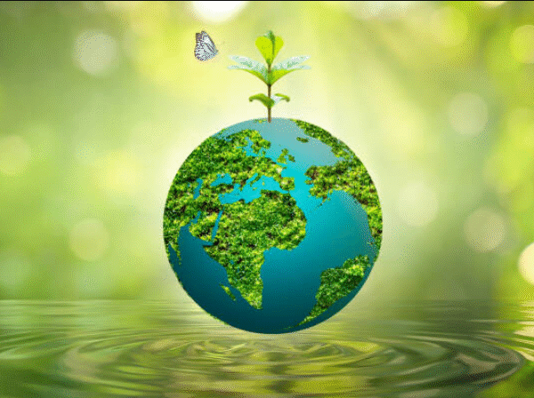 The Green Revolution of Dispensary Cannabis