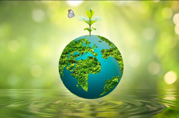 The Green Revolution of Dispensary Cannabis